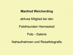 Weicherding Manfred